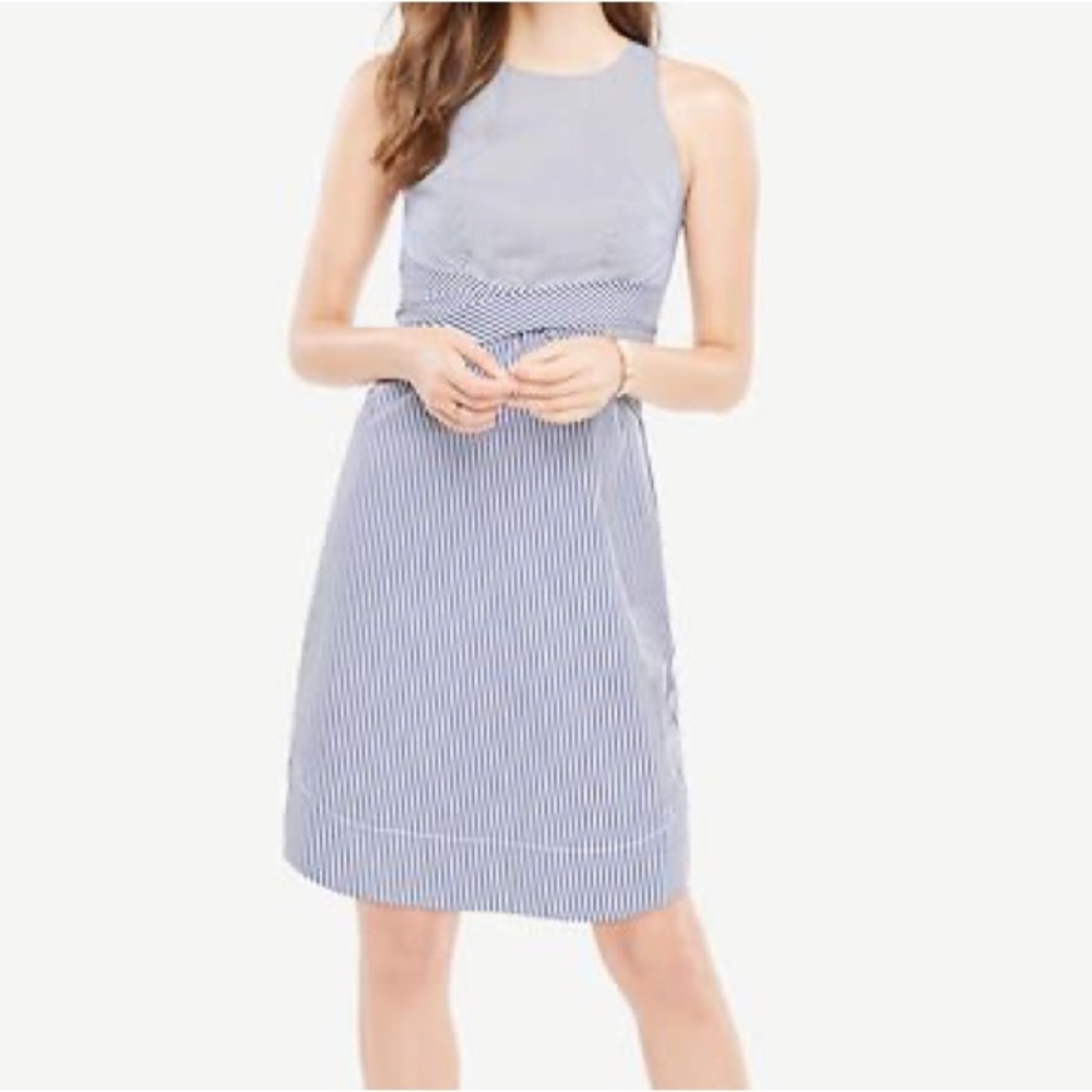 Ann Taylor Poplin Dress 12 NWT